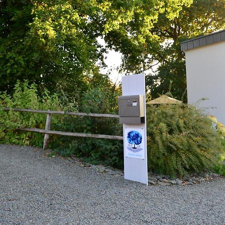 Bleus Nuit Panzió Lierneux Kültér fotó